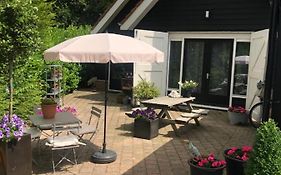 De vrienden van Sir
